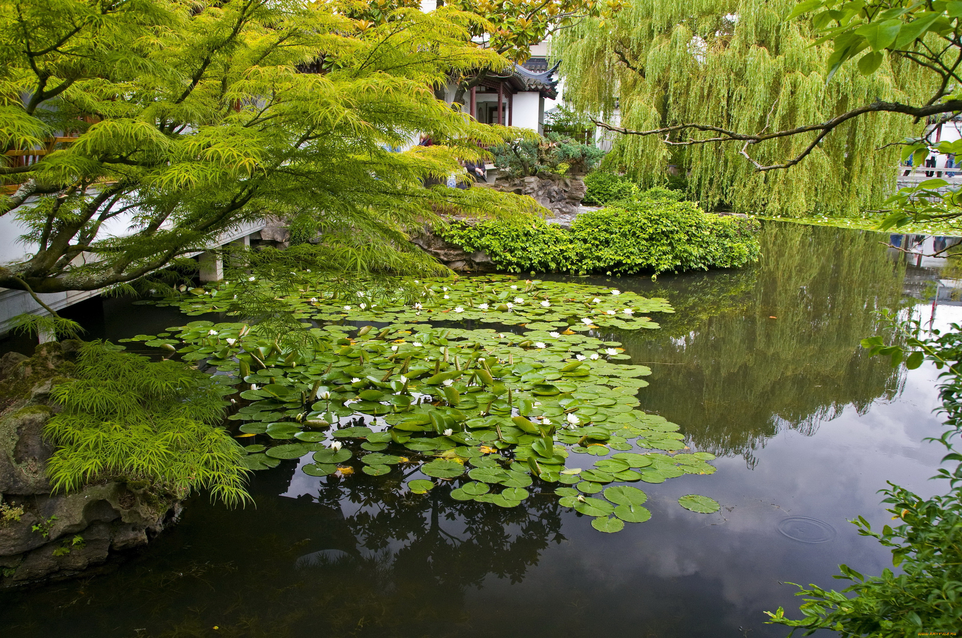 , sun, yat, sen, garden, vancouver, , , , 